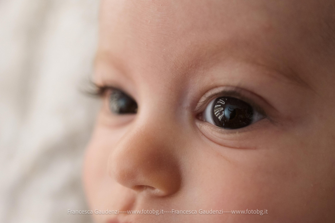 ...e se hanno gli occhi aperti? - Fotografia di neonati a Faenza (RA)