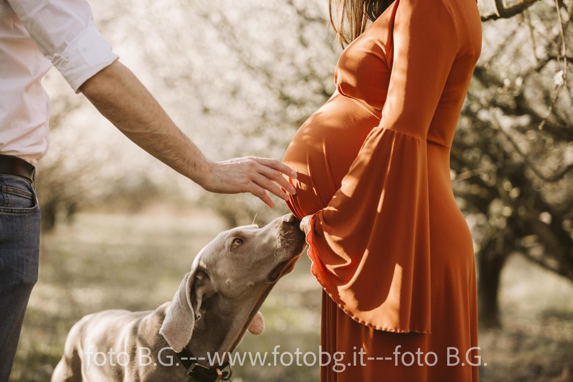 Fotografia in gravidanza a Faenza