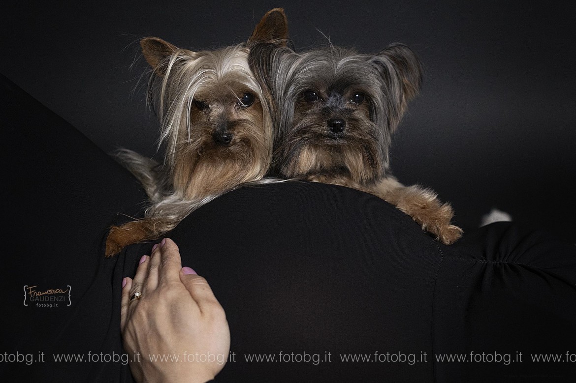 50 FotoBG-63 x web.jpg
